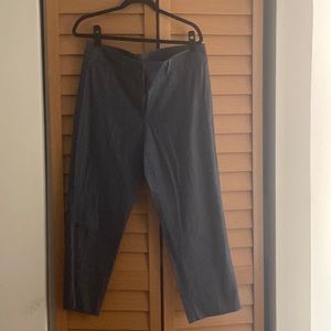 Ann Taylor Factory Signature Blue Trousers